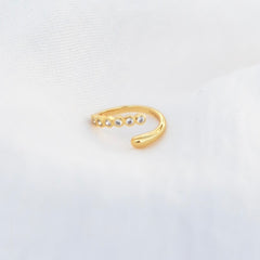 Nanna ring